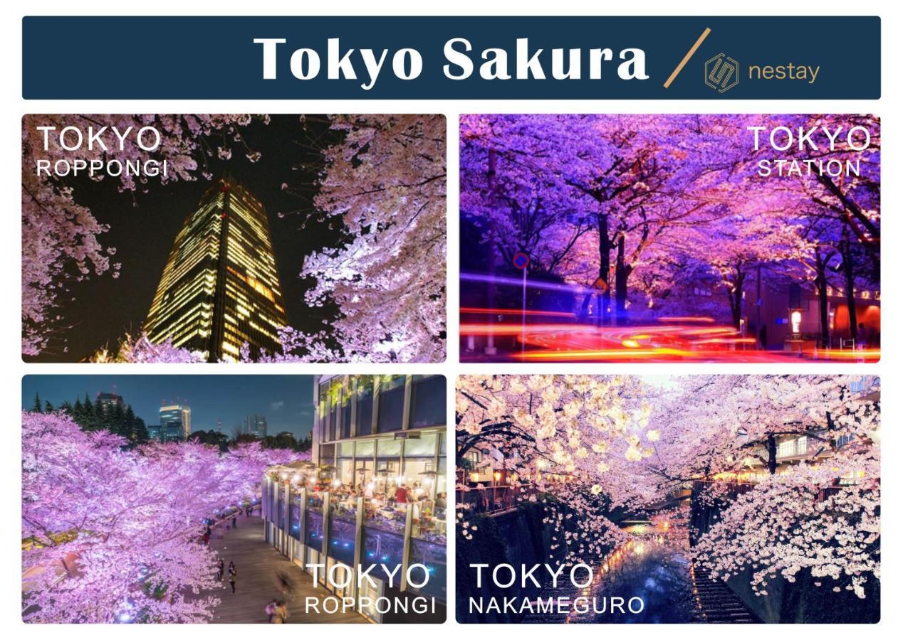nestay inn tokyo otsuka 201 Eksteriør billede